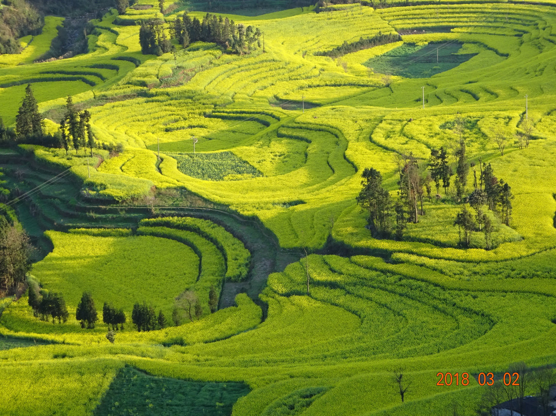 罗平县旅游景点-罗平螺丝田