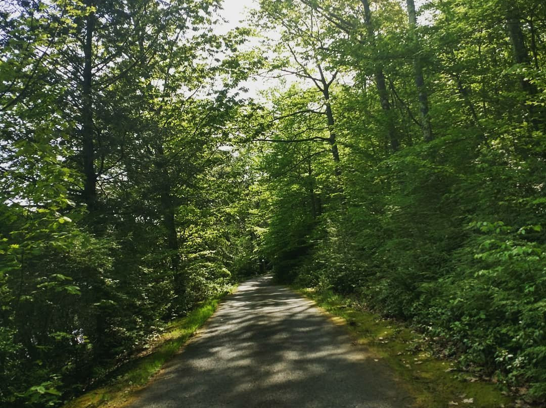Merli-Sarnoski Couty Park-Jermyn必去景点