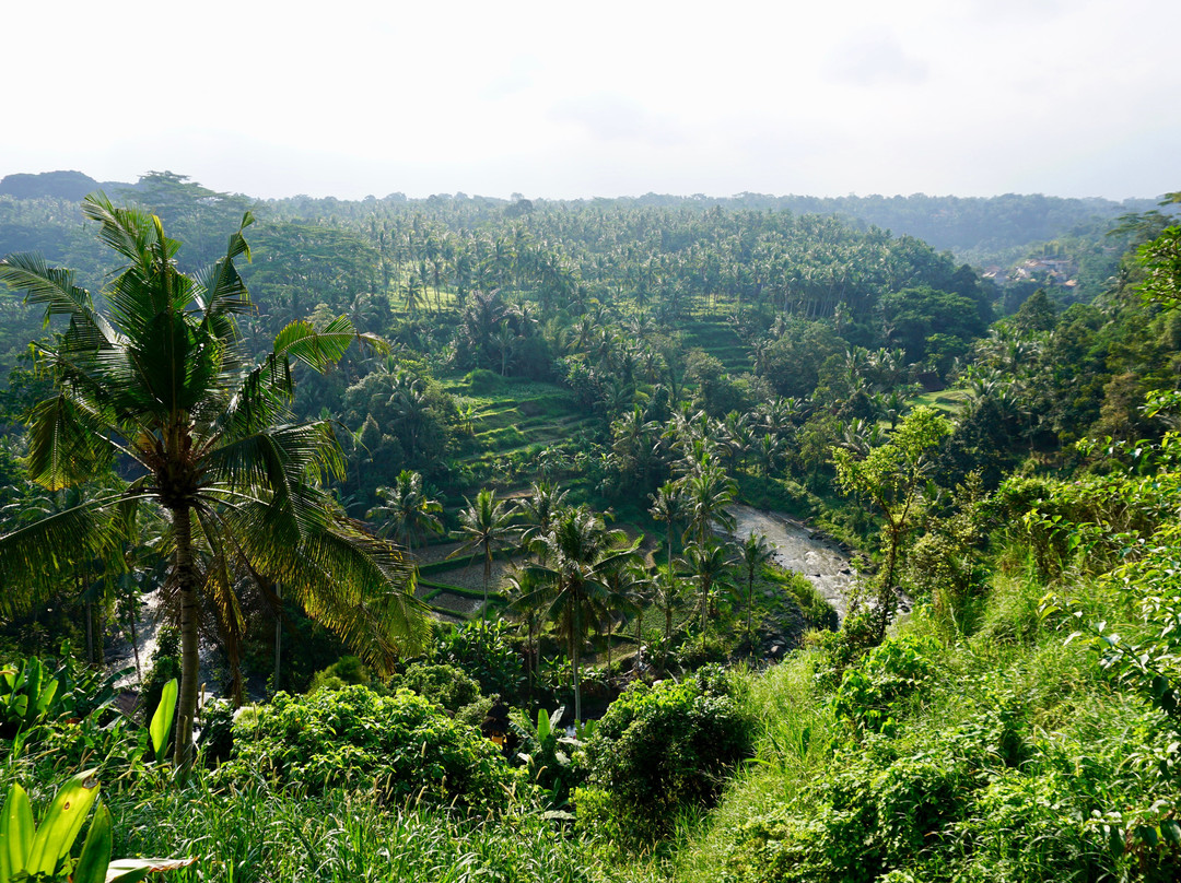塔曼贝贝克度假Spa酒店主图