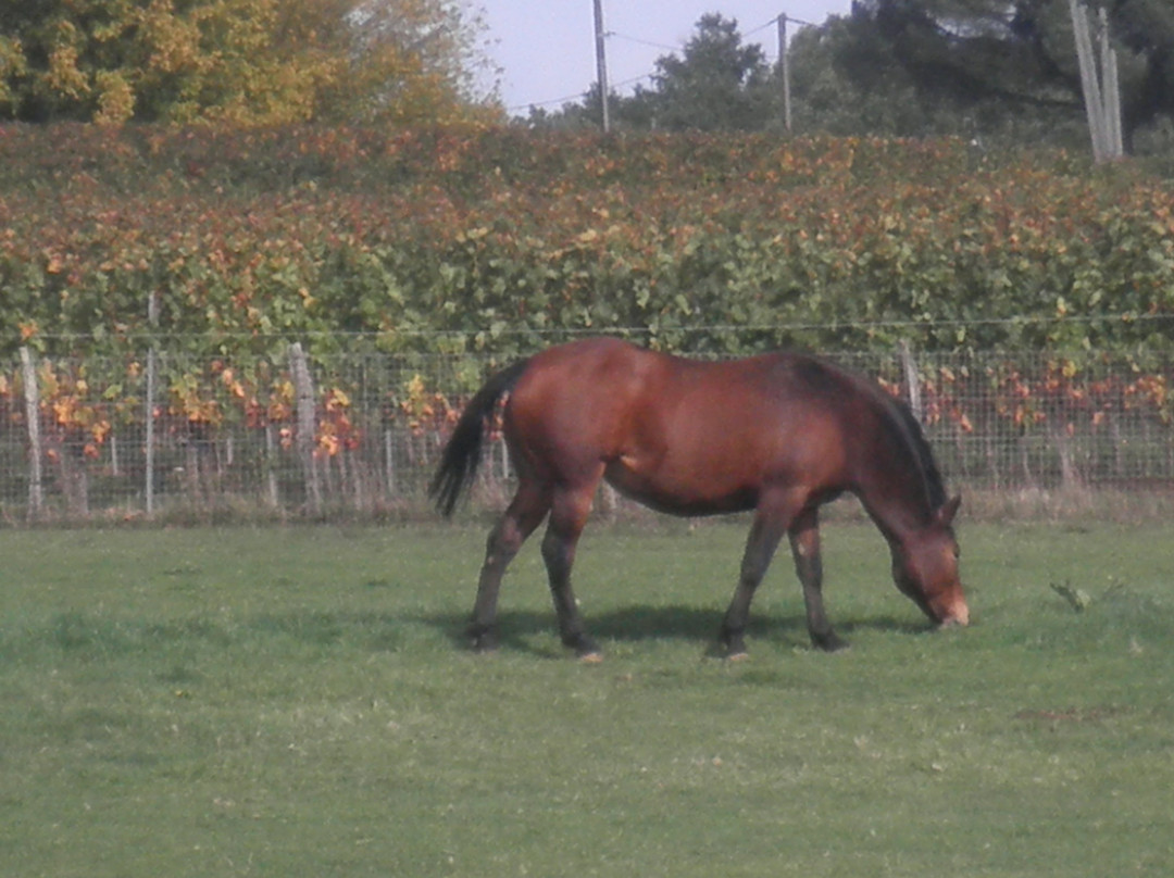 Retour a la Source主图