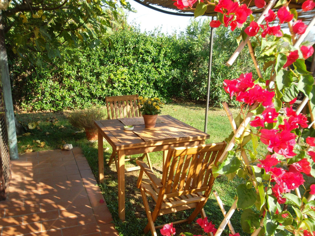 Agriturismo Sicomoro主图