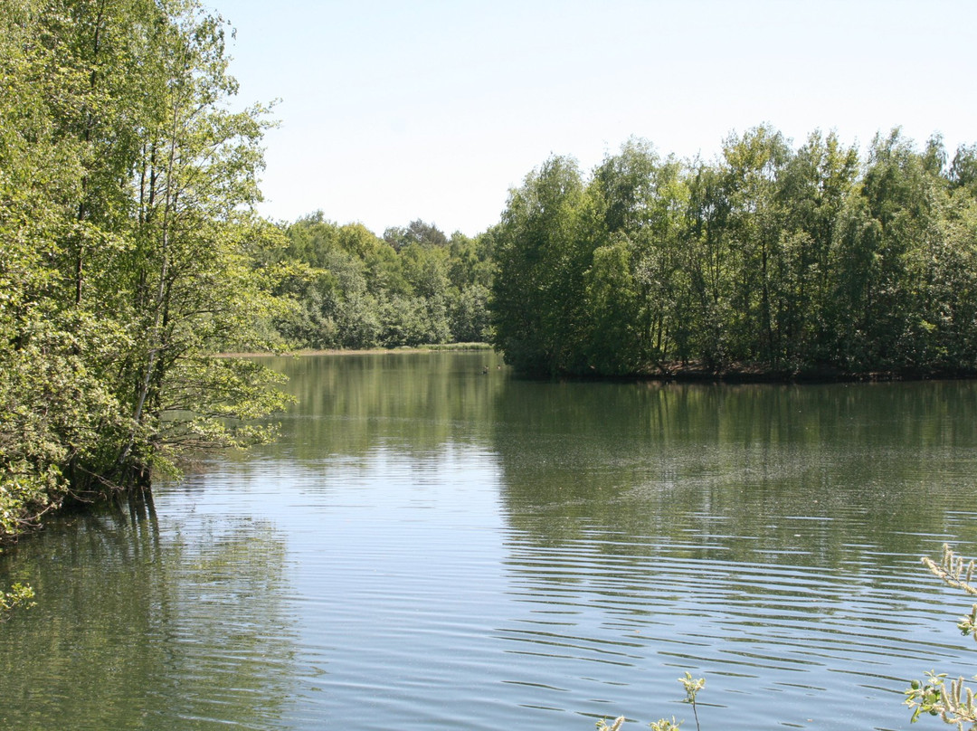 Heidesee in Kirchheller Heide景点图片