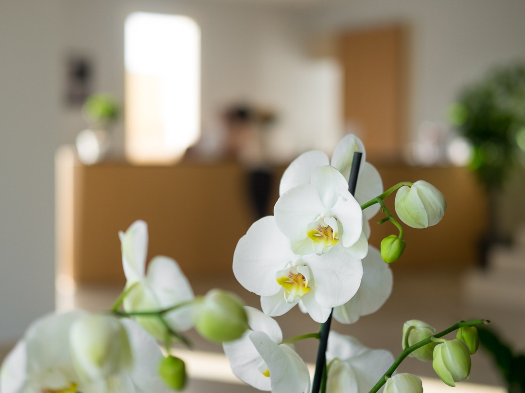 Netum Hotel主图