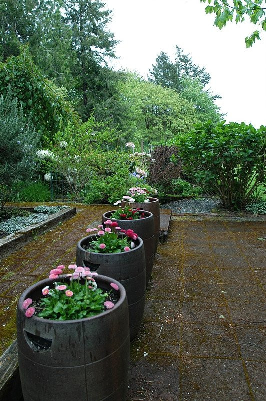 Olalla Vineyard and Winery-Olalla必去景点