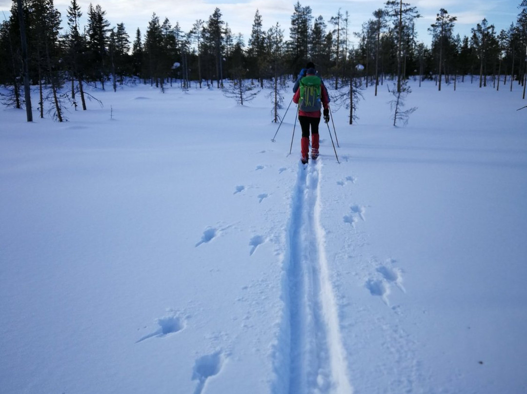 Finnskogen Adventures-Elverum必去景点