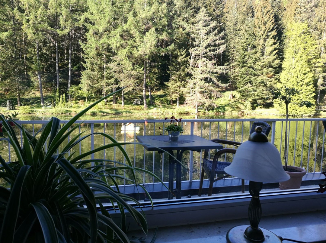 Hotel Langenwaldsee主图