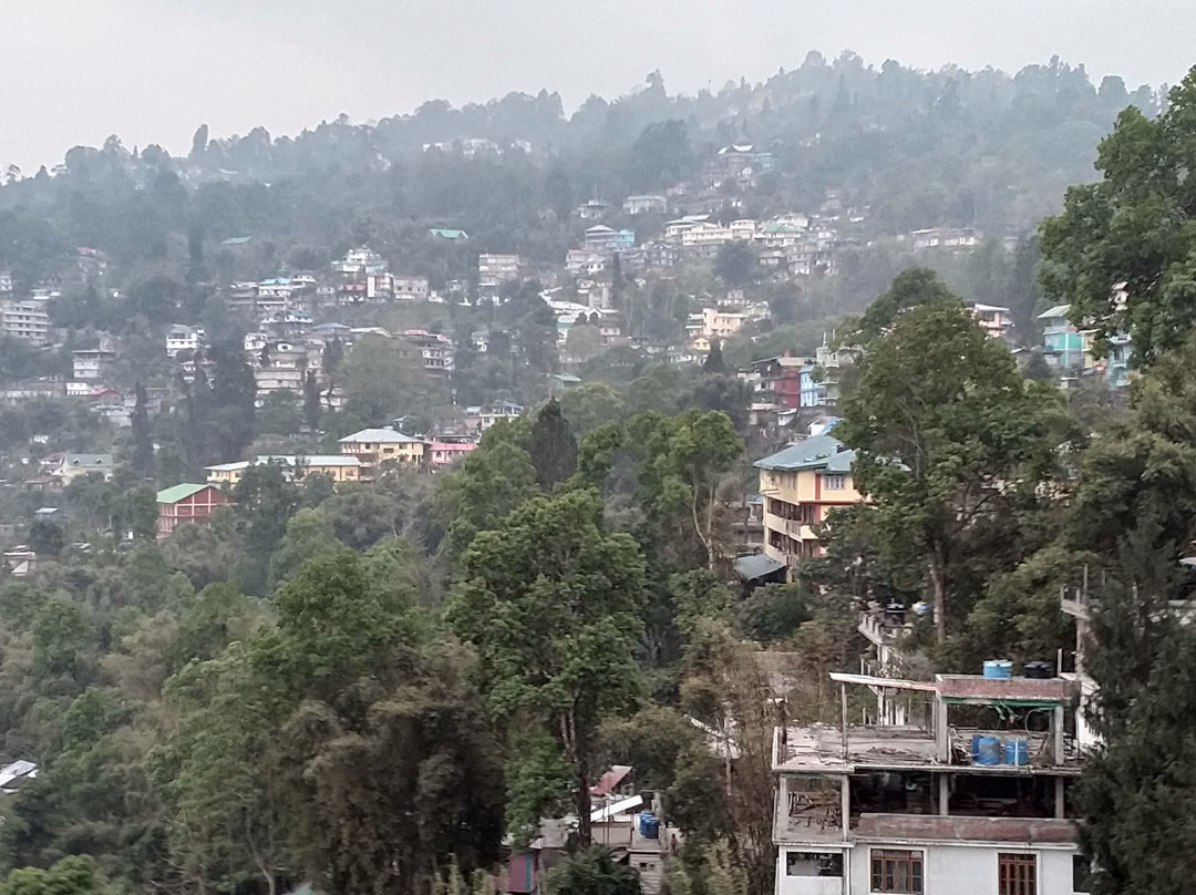 Divyaraa Breathing Stone主图