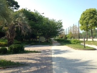 Mukojima Exercise Park景点图片