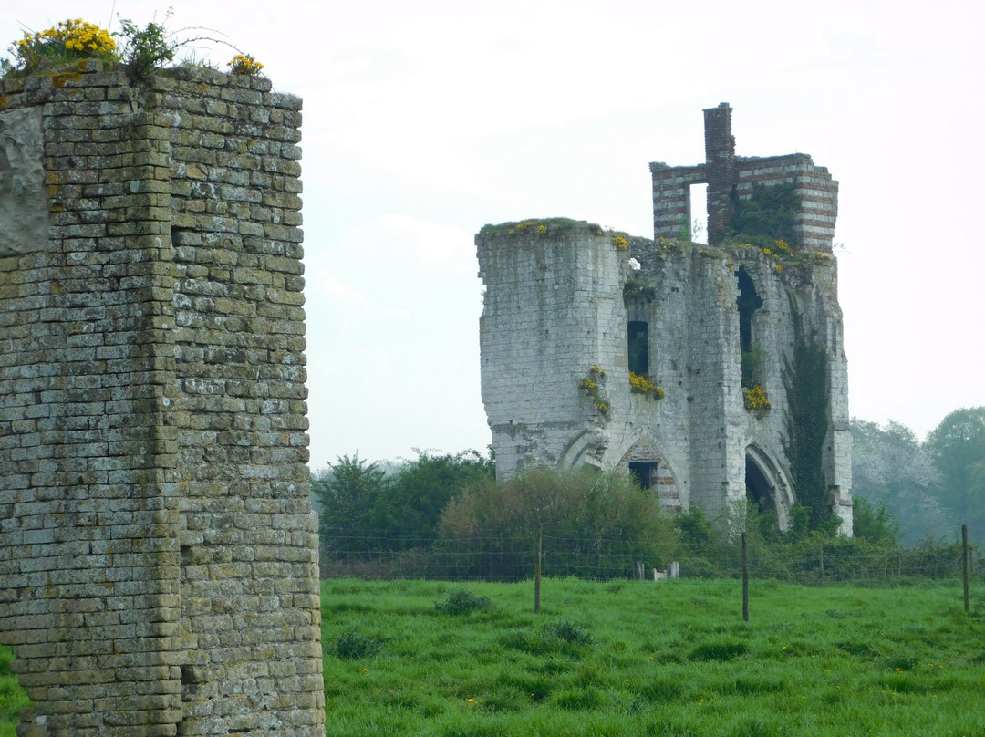 Ruines de l'Abbaye Notre Dame de Clairmarais景点图片