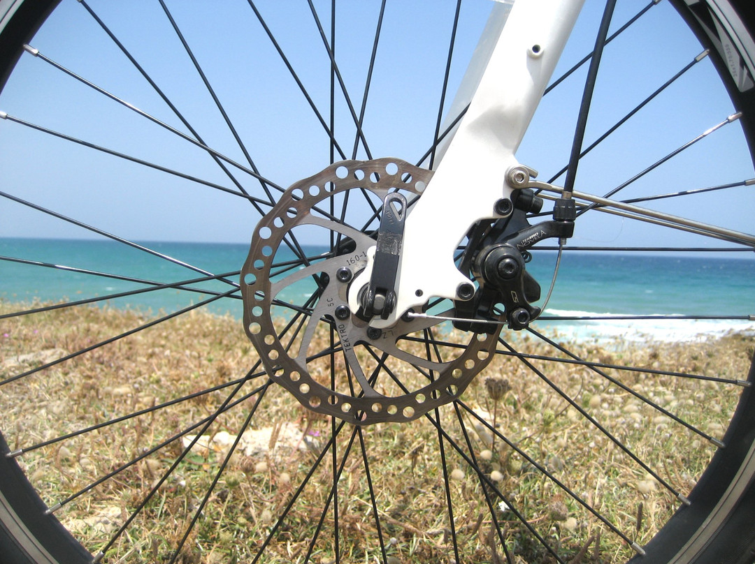 Cristal E-Bike-奥斯图尼必去景点