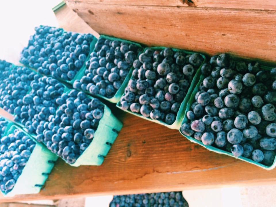 Port Rowan Farmers' Market-Port Rowan必去景点