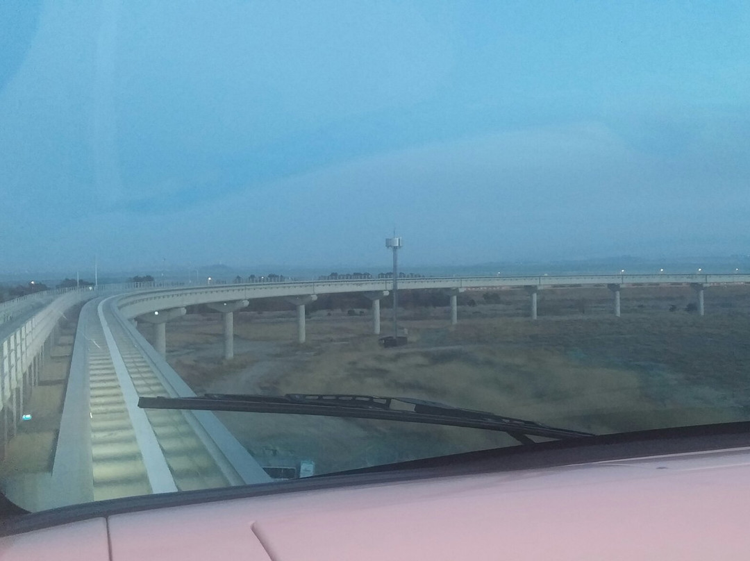 Incheon Airport Maglev景点图片