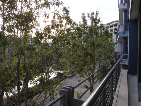 African Elite de Waterkant主图