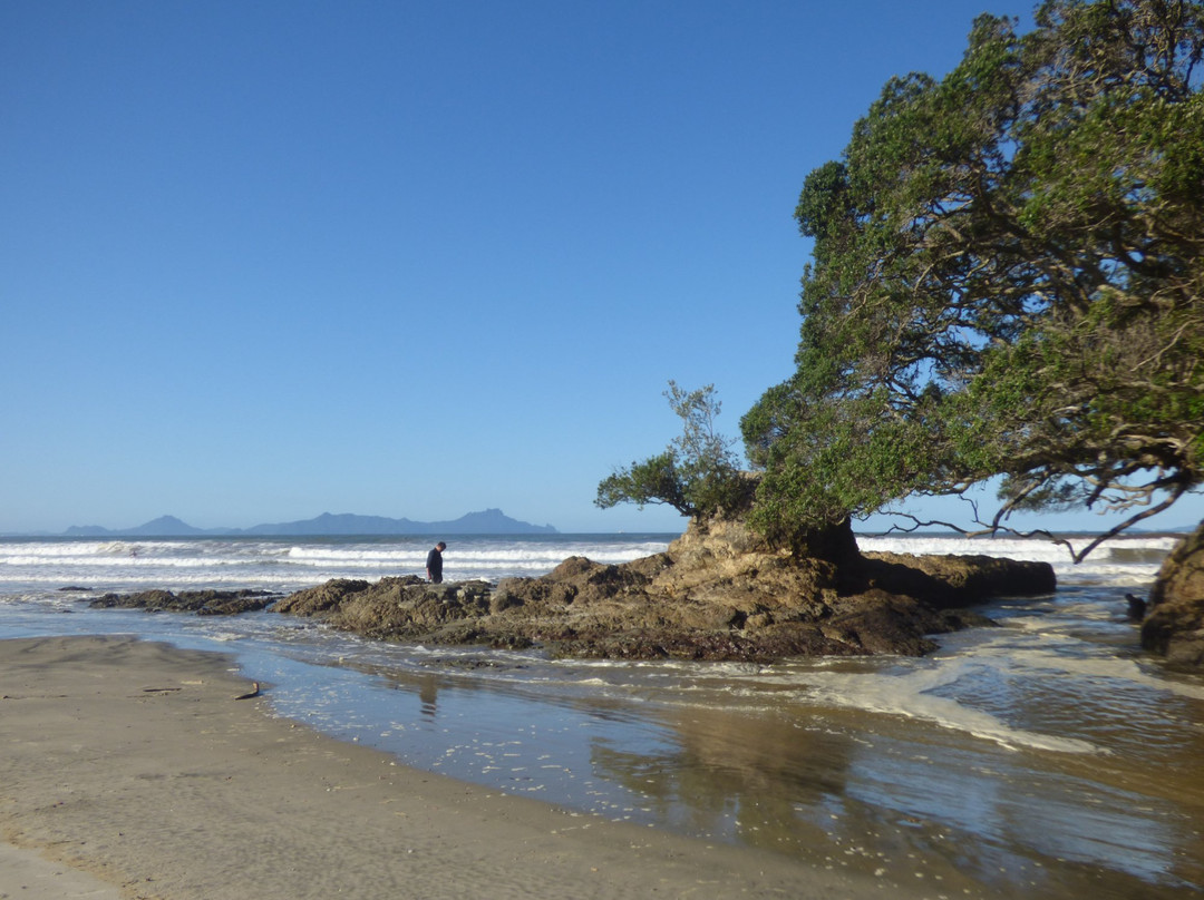 Uretiti Beach景点图片