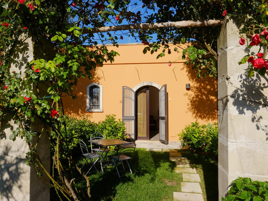 Il Giardino di Lisa主图
