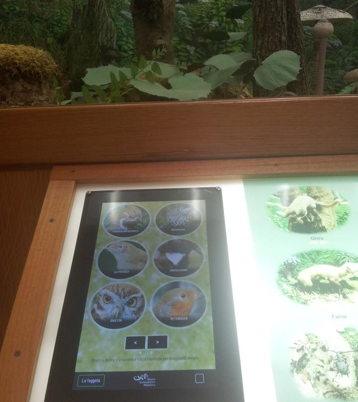 Museo Naturalistico Patrizio Rigoni景点图片