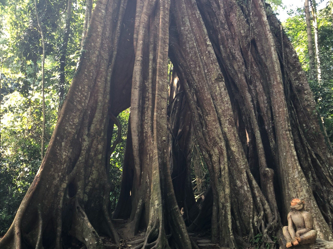 Pengkalan Hulu旅游攻略图片