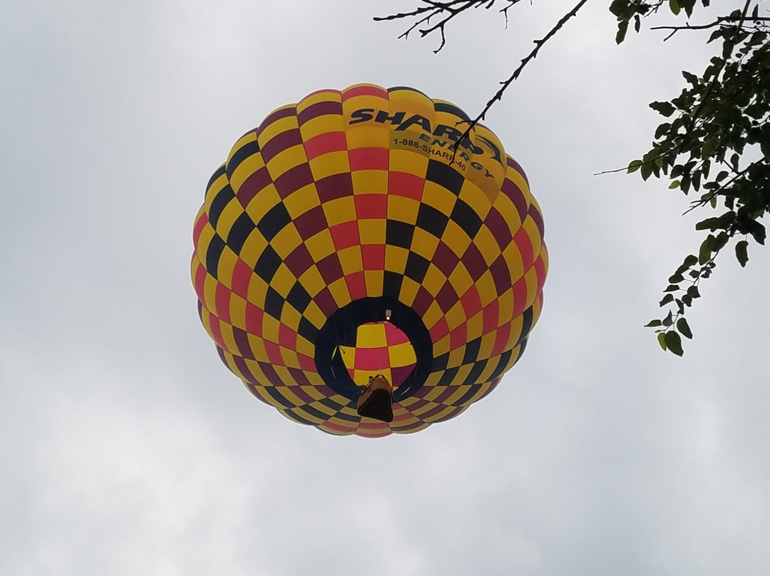 Delmarva Balloon Rides景点图片