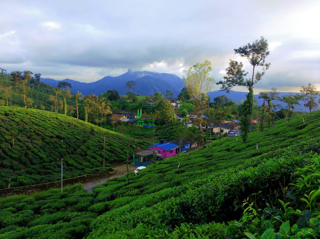 Malakkappara View Point-德里久尔必去景点