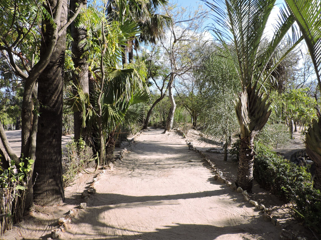 Arboretum of Ranopiso景点图片