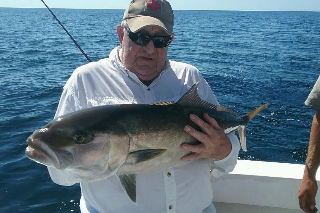 Paradise Fishing Charters-Cape Haze必去景点