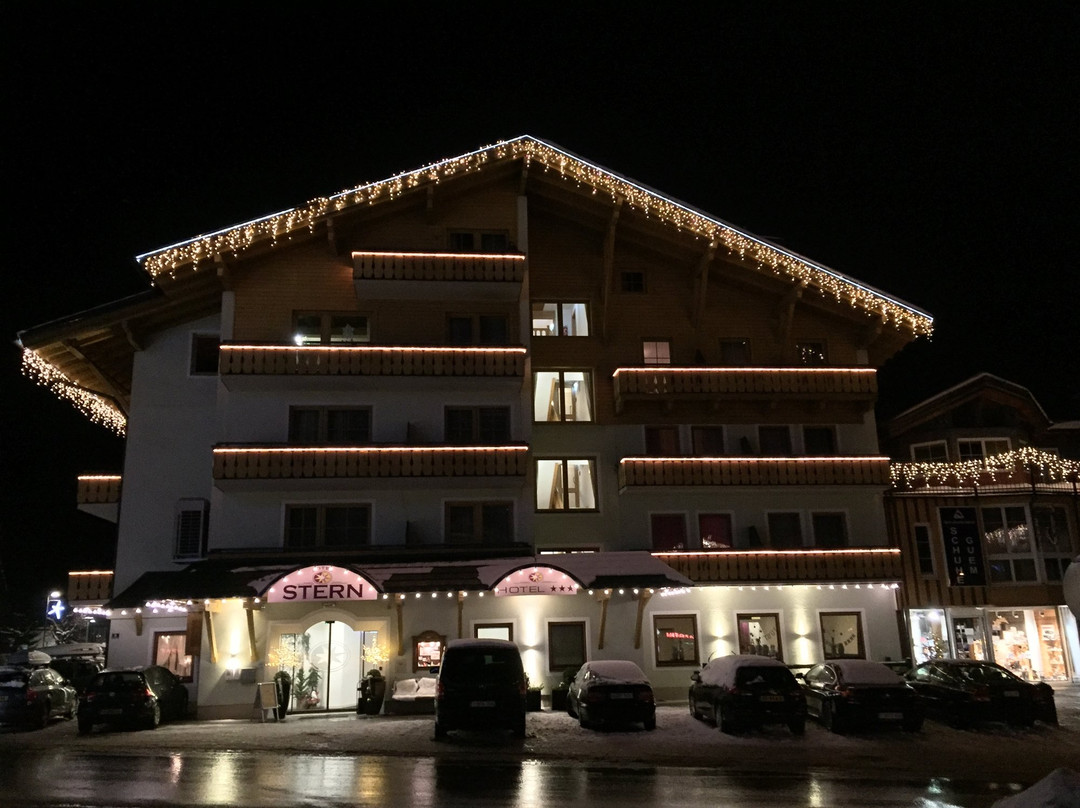 Hotel-restaurant Stern主图