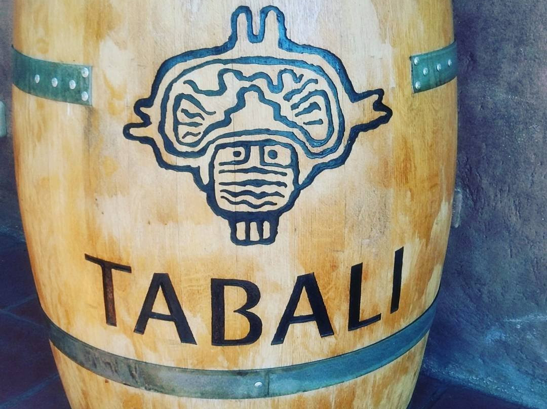 Vina Tabali-Ovalle必去景点