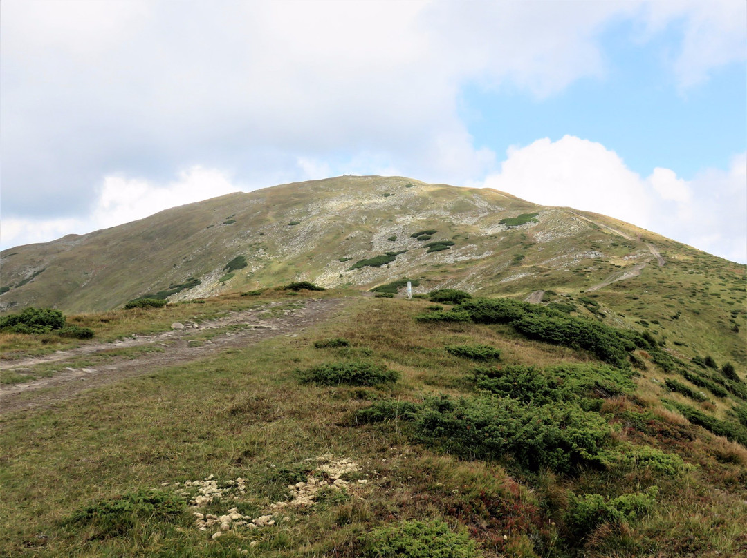 Petros Mountain-Kvasy必去景点