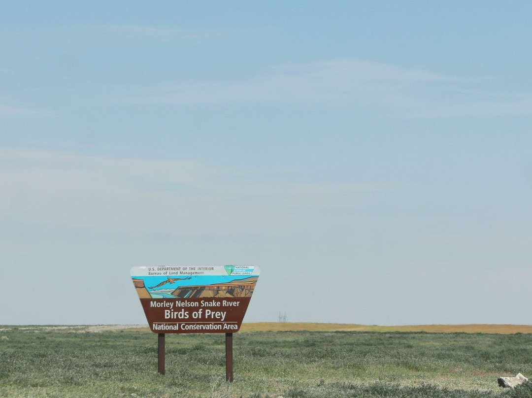Snake River Birds of Prey National Conservation Area-博伊西必去景点