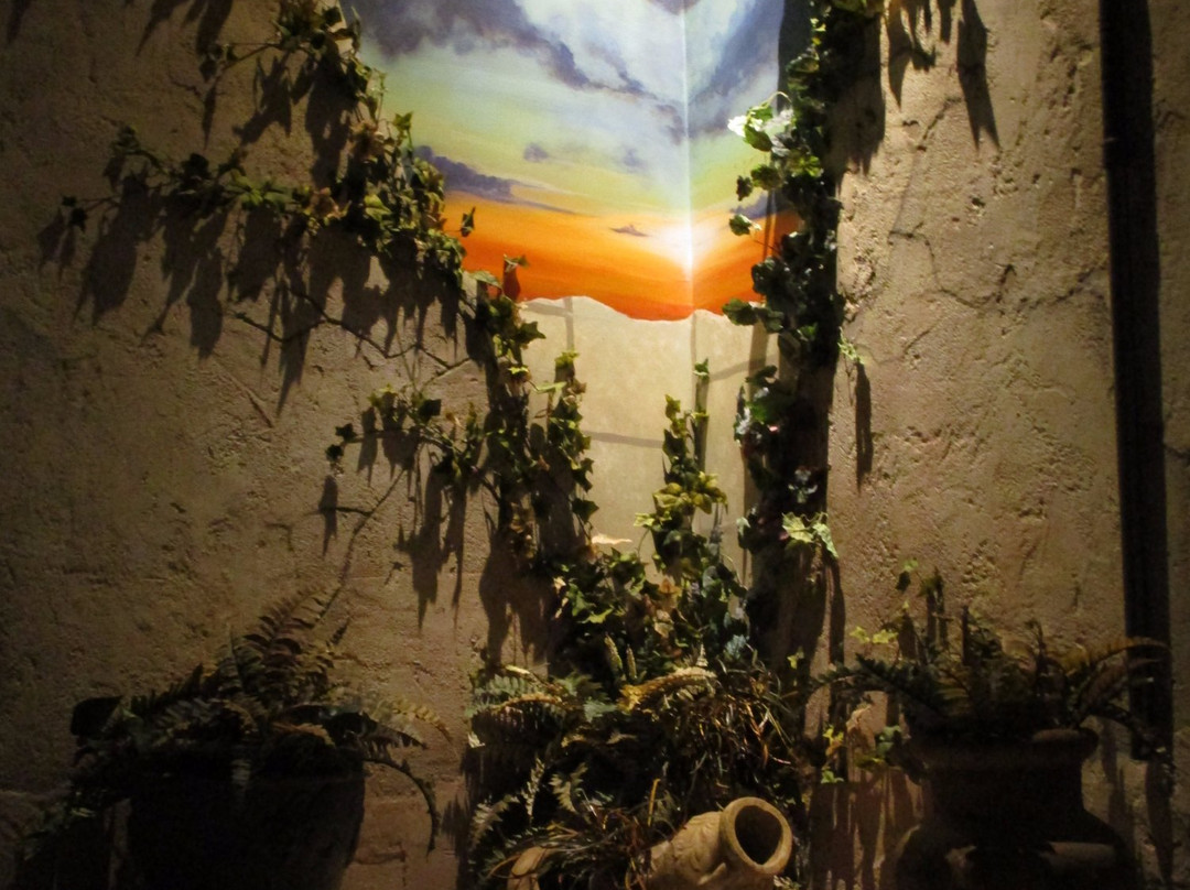 The Escape Effect-奥兰多必去景点