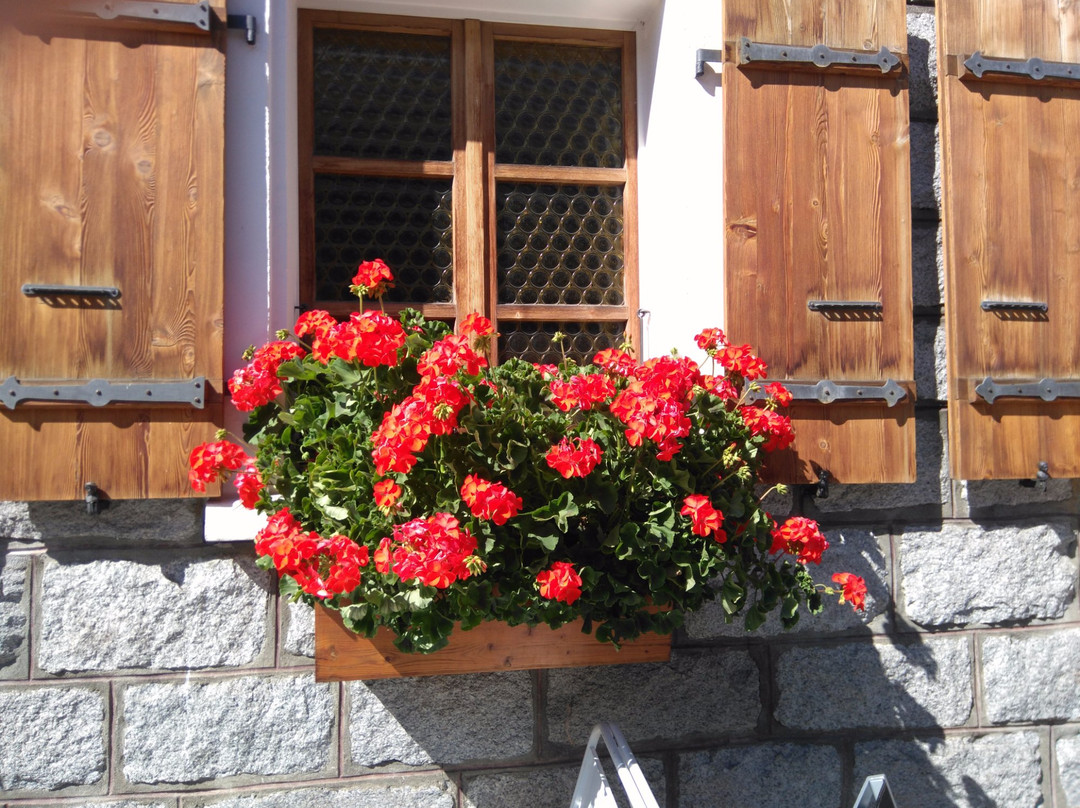 Obergesteln酒店住宿-努费恩酒店