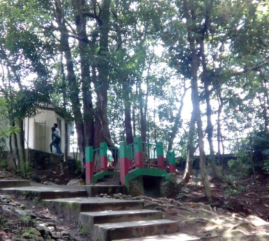 India Orchidarium and Botanical Garden景点图片
