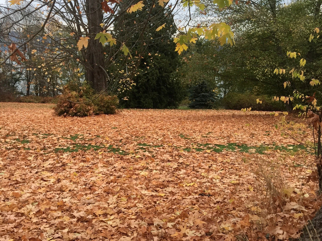 Foreshore Park-纽卡斯尔必去景点