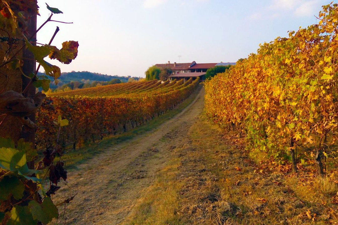 Maurilio Vaira Tenuta del Barone-Narzole必去景点