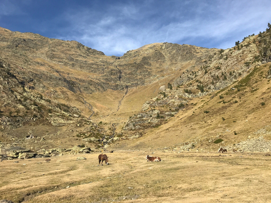 Percanela-Les Fonts-Pla de l'Estany Trail