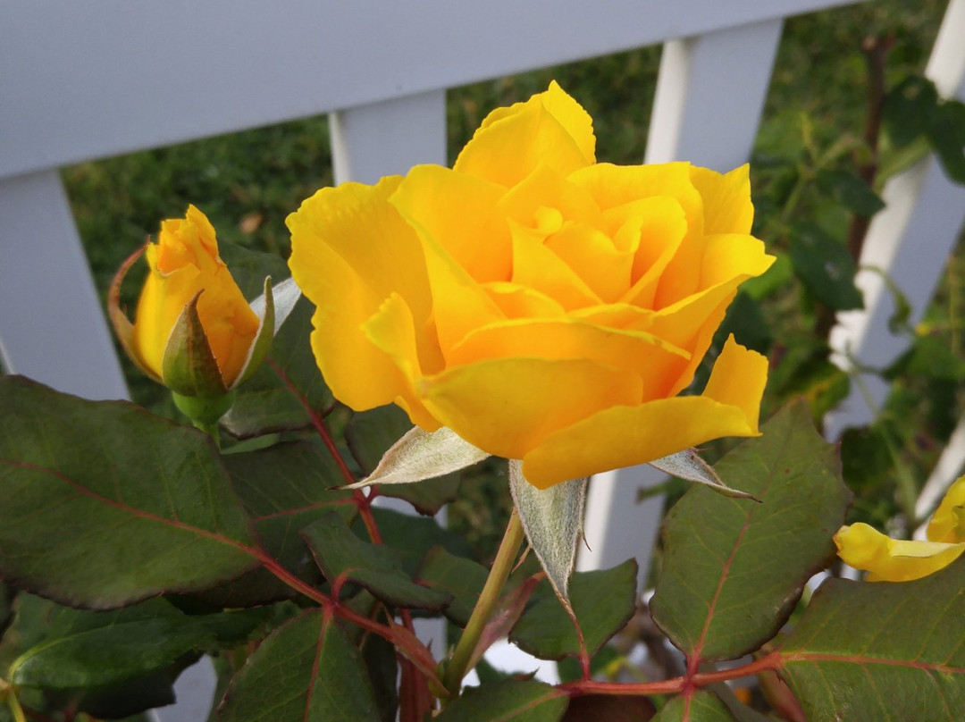 马里布酒店住宿-马里布乡村酒店