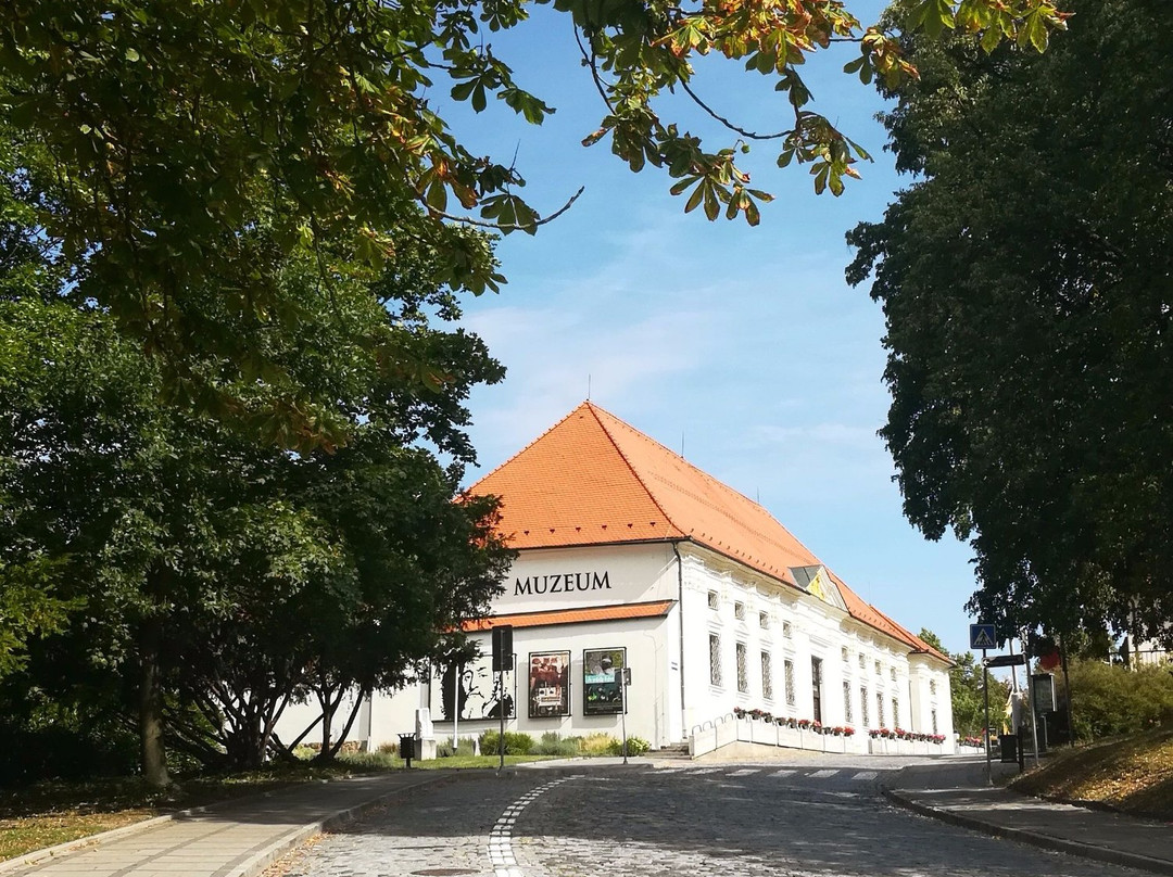 Nivnice旅游景点-Muzeum Jana Amose Komenskeho