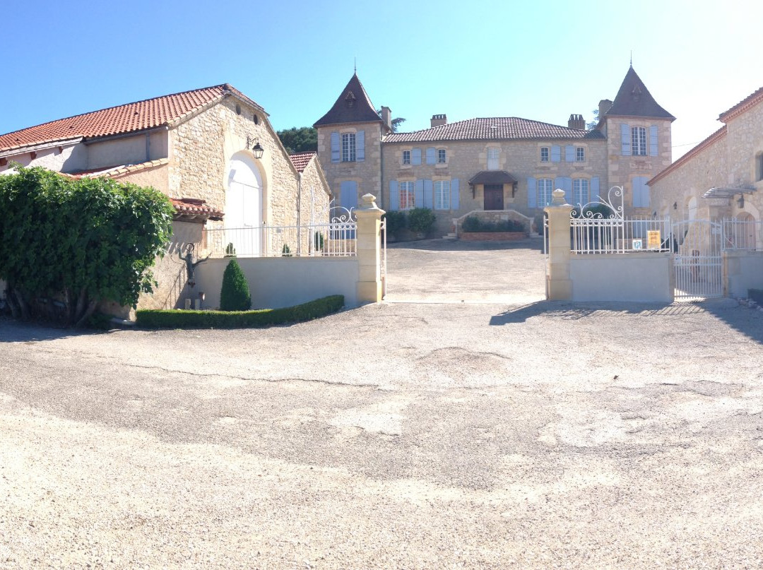 Château de Gaudou景点图片