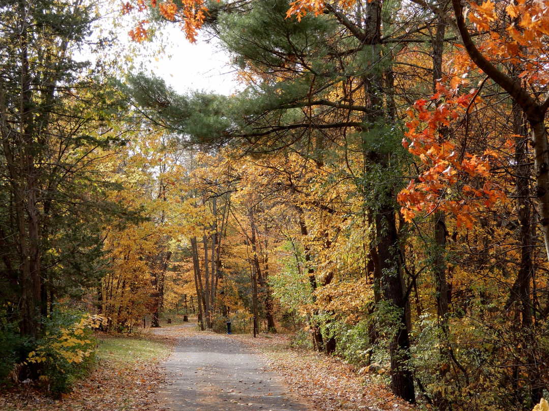 Interstate State Park- Wisconsin-Saint Croix Falls必去景点