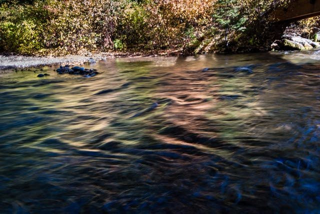 Shevlin Park-本德必去景点