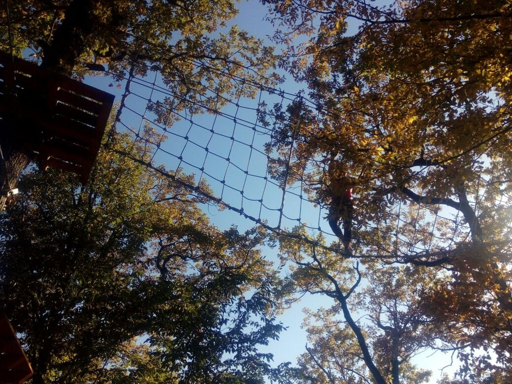 TETIS Rope Adventure Park景点图片