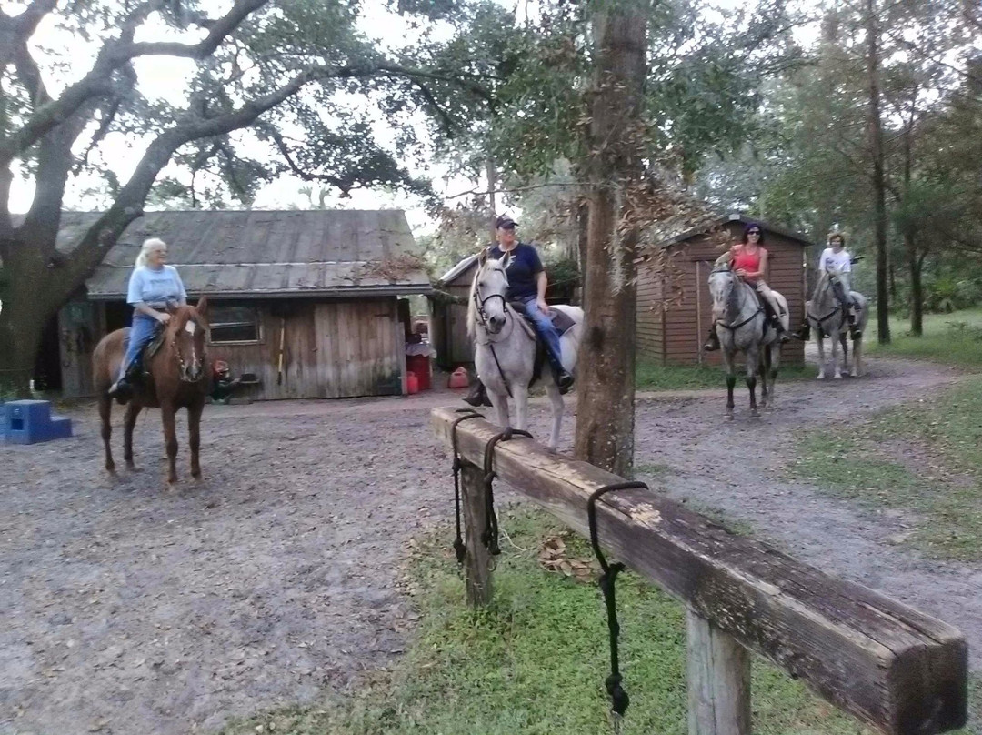 Horsespring Farm-莱克威尔士必去景点