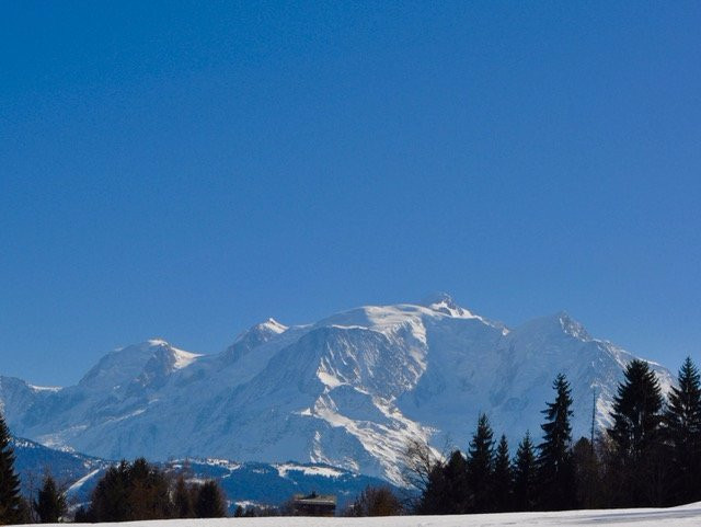 萨朗什酒店住宿-Le Cerf Amoureux
