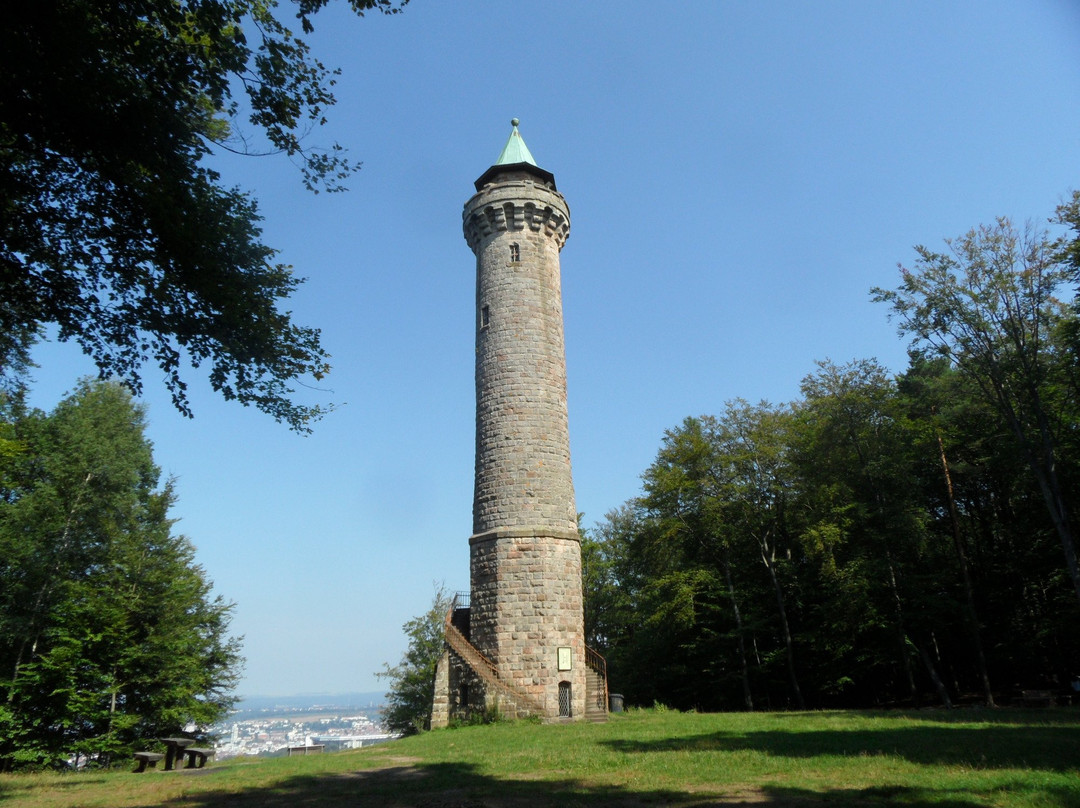 Humberg Tower景点图片