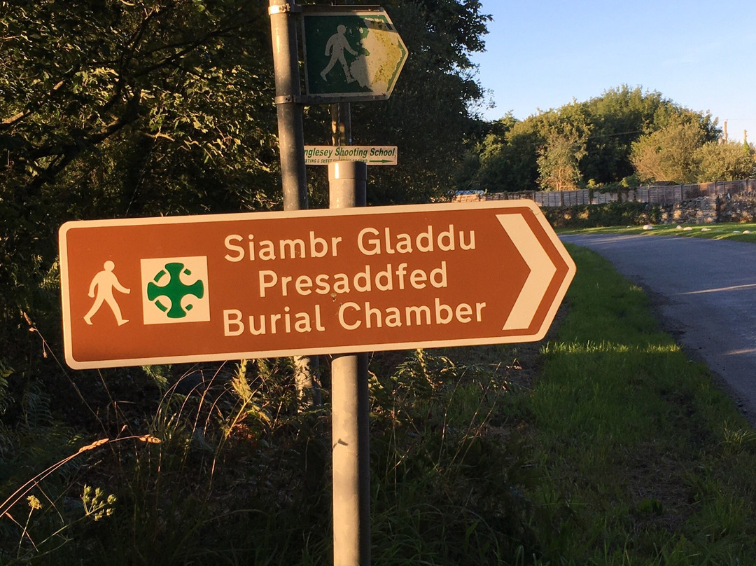 Presaeddfed Burial Chamber景点图片