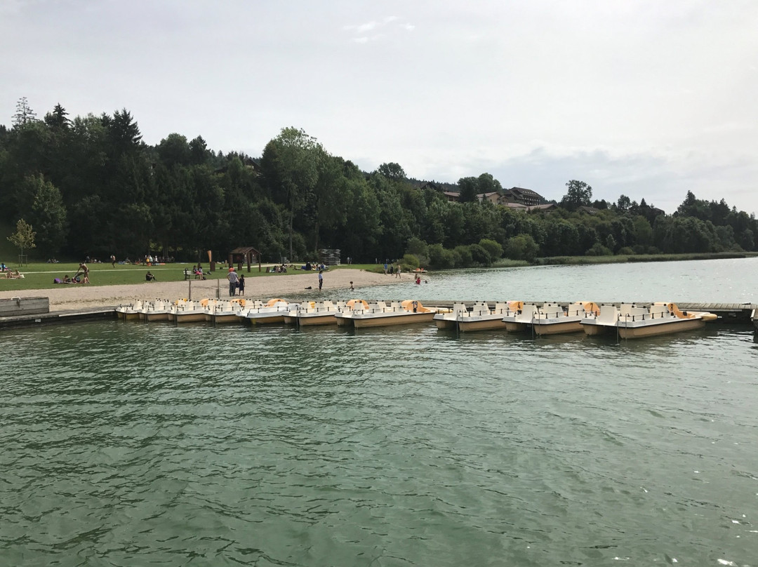 Plage des Landes景点图片