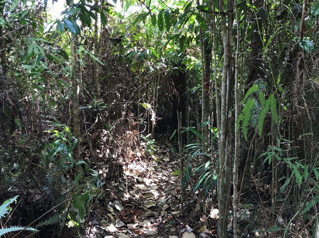 山打根热带雨林公园-山打根必去景点