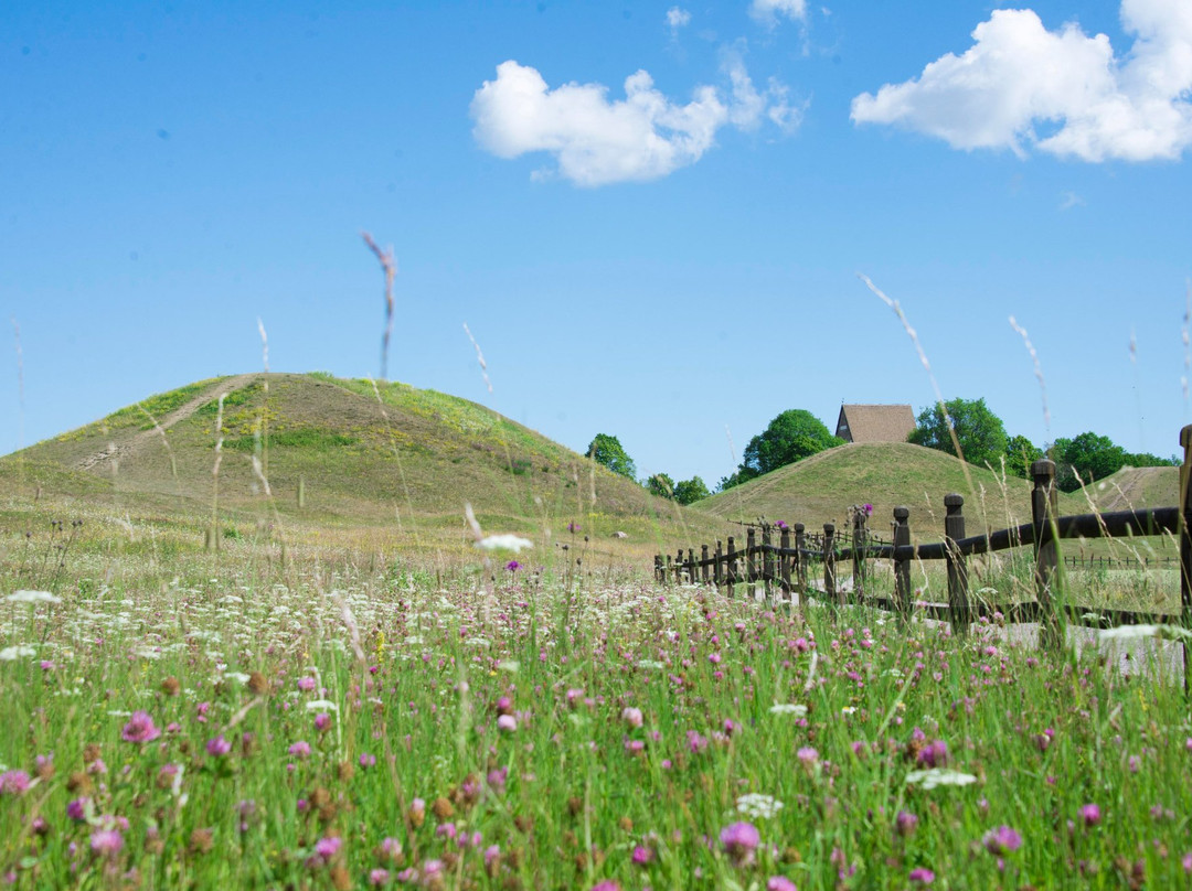 Gamla Uppsala Museum景点图片