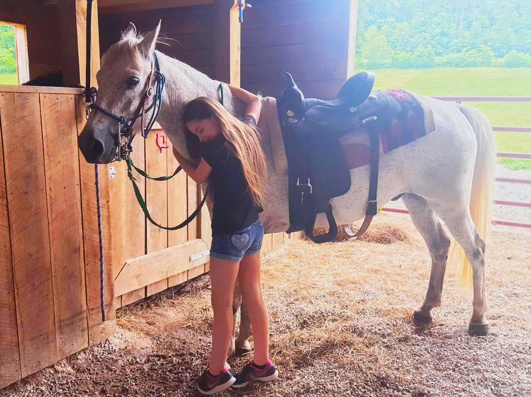 Hurricane Creek Stables, LLC景点图片
