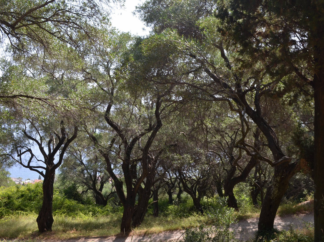 Agia Paraskevi Monastery-Benitses必去景点